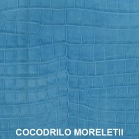 moreletti-azul-claro