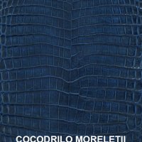 moreletti-azul-electrico
