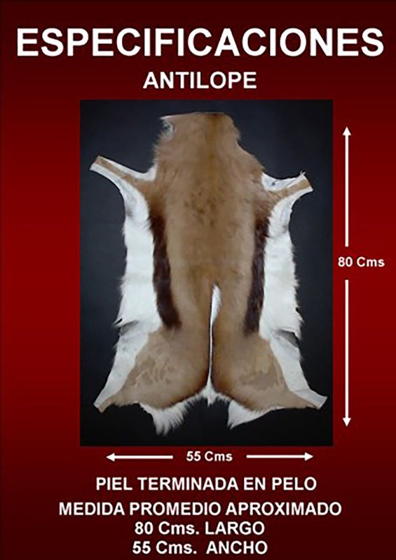 Antilope Especificaciones